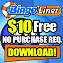 Bingo Liner